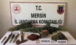 Mersin'de Jandarmadan yasaklı madde operasyonu