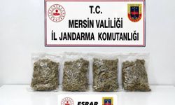 Mersin’de yasaklı madde operasyonu