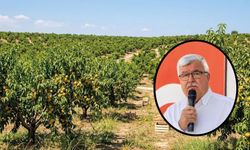 Mersin Ziraat Odası Başkanı Yılmaz’dan Tarım Kredi Kooperatifleri’ne çağrı