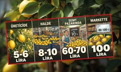 Limonun fiyatı tarladan markete 20 katına çıkıyor