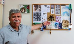 Oğlunun adını keşfettiği sinek türünde yaşatıyor