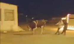 Yaşamak için kaçtı ölmek istemedi!
