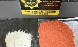 Sakarya'da araçtan bonzai hammaddesi çıktı