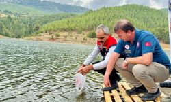 Mersin’de 17 göl ve gölete 347 bin yavru sazan bırakıldı