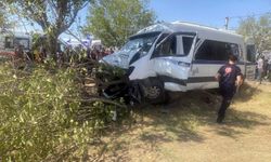 Tarım işçilerini taşıyan minibüs ağaca çarptı, 14 yaralı
