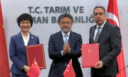 Türkiye, Çin’e yılda 60 milyon dolarlık defne satacak