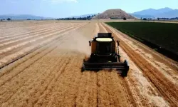 TMO'dan üreticiye ve sektöre müjde