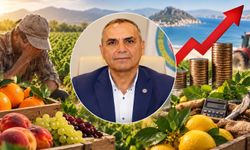 Üretici maliyeti karşılayamaz hale geldi