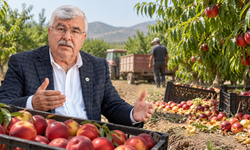 Ürün tarlada kaldı, üretici maliyetine satış yaptı