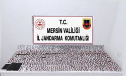 Jandarma binlerce yasaklı madde ele geçirdi
