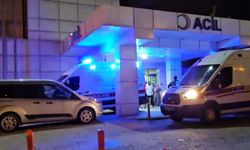 16 yaşındaki çocuk, annesinin canına kıydı