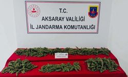 32 ilde yasaklı madde operasyonu: 298 tutuklama