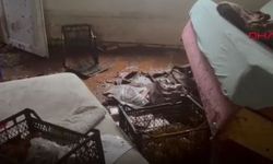 Demre’de sel felaketi: “Kullanılacak hiçbir şey kalmadı”