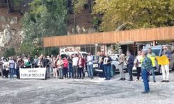 Davullu, zurnalı ÇED protestosu