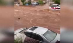 Ankara Büyükşehir Belediyesi ekibi gece boyu sahadaydı