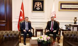 Sokak hayvanları için denetimler ve barınak şartları masada