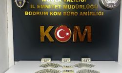Bodrum'da 46 bin 200 sahte dolar ele geçirildi