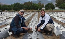 Kariyerini bıraktı! Köyde organik tarım yapıyor