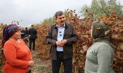 Kadın çiftçiler tarlada Başkan Yıldız’ı ağırladı