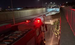 Kediye çarpmamak için fren yaptı, kamyonet devrildi