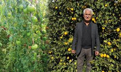 Erdemli’de dolu afeti çiftçinin yükünü ağırlaştırdı