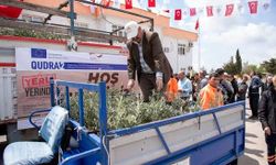 Mersin Büyükşehir’in yarısı hibeli fidan dağıtımında yeni kampanya