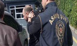 Güvercin tartışmasının tirarisi 47 yıl sonra yakalandı