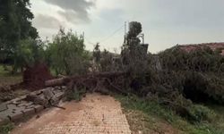 Hatay'da yağış hayatı olumsuz etkiledi