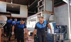 Şanlıurfa’da çürümüş domates ve küflü salça ele geçirildi