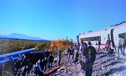 İspanya'da yüksek hızlı tren kazasında ölü sayısı 64 oldu