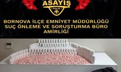 Araziye bırakılan torbalardan 4 bin 730 sentetik ecza çıktı