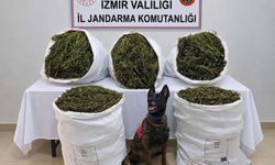 54 kilo 800 gram esrar ele geçirildi: 3 tutuklama