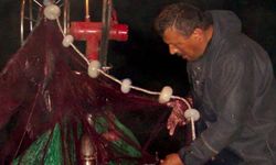 Deniz ortasında kalp krizi geçiren balıkçı hayatını kaybetti