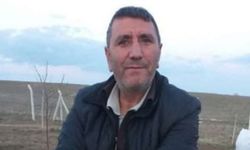 Üzerine ağaç devrilen 6 çocuk babası hayatını kaybetti