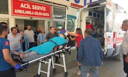Adana’da emekli uzman çavuşun üzerine kestiği ağaç devrildi