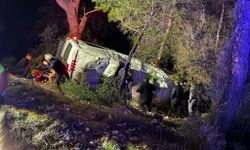Tur minibüsü şarampole devrildi: 15 yaralı