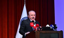 ‘Türkiye, bölgede ve dünyada önemli bir aktördür’