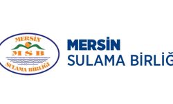 ÖZEL GÜVENLİK HİZMETİ ALINACAKTIR