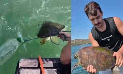 Denizde ipe ve pet şişeye bağlı caretta caretta kurtarıldı