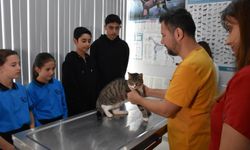 Öğrenciler harçlıklarını biriktirdi, Kurabiye’ye umut oldu