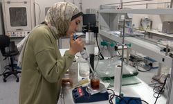 Fındık posası protein kaynağına dönüşecek