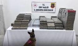 Kömür çuvallarından 10 bin paket kaçak sigara çıktı