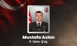 Pençe-Kilit bölgesinde silah kazası: Mustafa Aslan şehit oldu