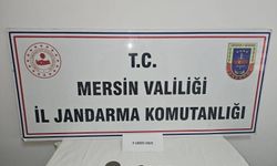 Anamur’da tarihi eser kaçakçılığına jandarma operasyonu