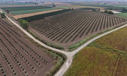 Tarsus’ta arazi yollarına bakım ve düzenleme