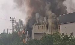 Mersin Tarsus’ta Tütün İşleme Tesisi'nde yangın