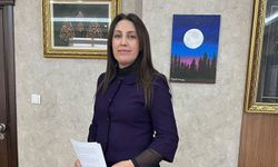 İklim değişikliği her yıl 250 bin can alabilir
