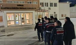 Durdurulan minibüste 20 kaçak göçmen yakalandı