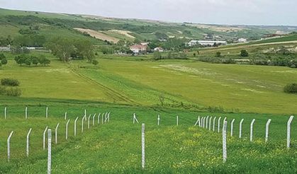 Tapu sahiplerine flaş sene kuralı: Haberi olmayan hakkını kaybedecek