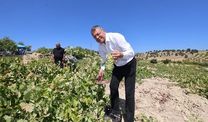 Silifke’de Bağ Bozumu Etkinliği Gerçekleştirildi